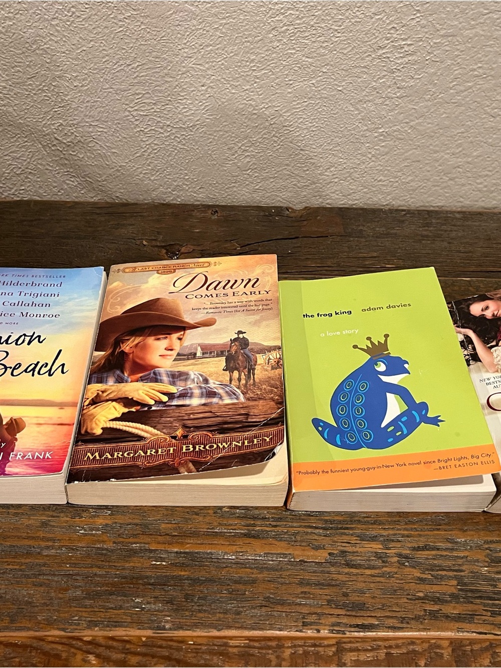 Assorted Paperback Book Lot